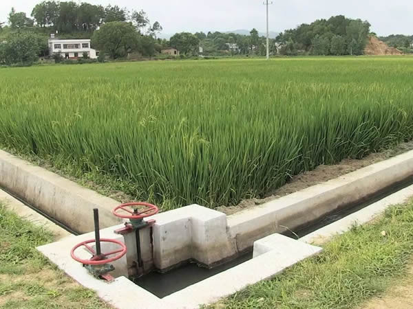 省水利廳組織召開(kāi)《江西省水利水電工程設計概（估）算編制規定》及配套系列定額修編審查會(huì )